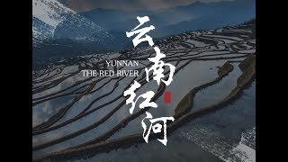 云上梯田，梦想红河