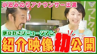 ついに完成！伊豆わさびミュージアム紹介映像初公開【わさびチャンネル300】