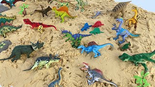 Dinosaurs On The Sand! Velociraptors, Spinosaurus, Pteranodon, Triceratops, T Rex