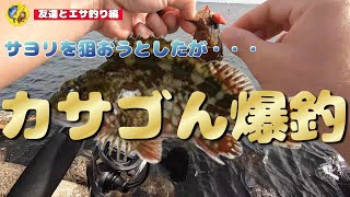 テトラを攻めたら根魚爆釣♪友達とエサ釣りしたよ♪