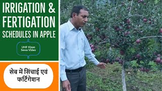 Irrigation & Fertigation schedules in Apple (सेब में सिंचाई एवं फर्टिगेशन)