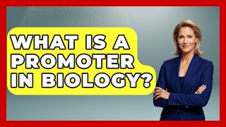 What Is A Promoter In Biology? - Biology For Everyone