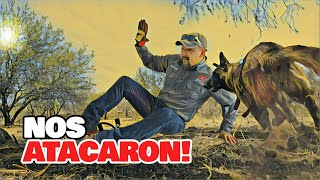 Nos ATACARON! Después de Encontrar PLATA en un ANTIGUO Camino REAL!