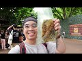 food tour and guide in hong kong disneyland