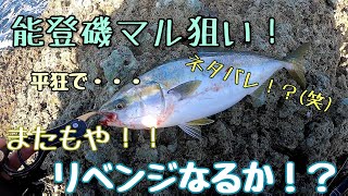 磯マルリベンジ釣行！能登の荒磯。