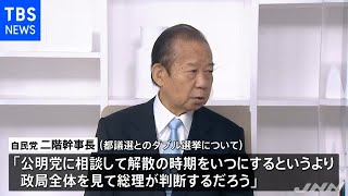 二階幹事長、早期の衆院解散に否定的考え