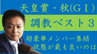 《天皇賞・秋 調教ベスト３》調教が最も良かった馬は？競馬エイト・高橋賢司トラックマンが解説