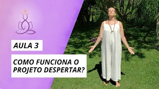 COMO FUNCIONA O PROJETO DESPERTAR