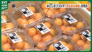 甘い！生で皮ごと食べられる！｢きんかん春姫｣出発式　かごしまブランド指定20年