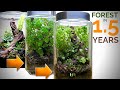 Terrarium turns into mini forest in 1.5 years