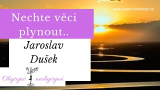 Jaroslav Dušek - Nech věci plynout