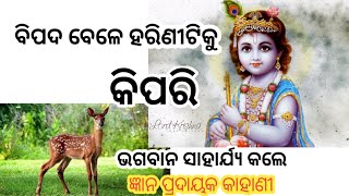 ଖରାପ ସମୟରେ ଜମା ବି ବିଚଳିତ ହୁଅନ୍ତୁ ନି , ଏହି  କାହାଣୀ ଟି ଥରୁଟିଏ ଶୁଣନ୍ତୁ | Gundu motivational  ||