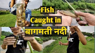 CAUGHT FISH IN BAGMATI RIVER || BEST FISHING SPOT IN KATHMANDU 🇳🇵🇳🇵🇳🇵