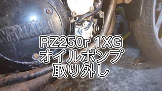 RZ250R 1XG オイルポンプ取り外し