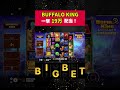 【bigbet】人気台『buffalo king』で二回連続バズった！ｗ　 オンラインカジノ カジノ オンカジ