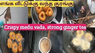 சாயங்கால வேளையில் மொறு மொறுன்னு மெது வடை கூடவே டீ|தமிழில்