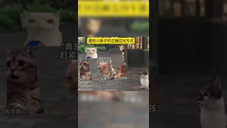 遇到人贩子的正确应对方式 #猫meme #猫meme小剧场 #cat