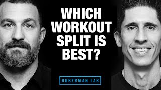 Which Workout Split is Best? (ft. Huberman Lab Podcast)