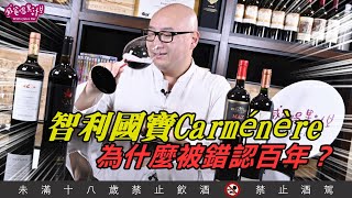 智利國寶Carménère，為什麼被錯認百年？【威爸喝果汁 Will's Juice Bar 90】