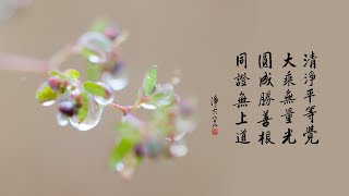 淨空老法師｜供佛，什麼供具最重要