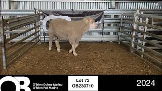 Lot 73 - OB230710