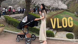 [육아브이로그]VLOG - 7개월아기 육아. 7개월아기 소면 촉감놀이. 첫 전집 구매. 200일 촬영. 벚꽃놀이(늦은 업로드로..). 빡센 자유부인의 1박2일