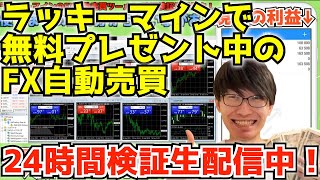 24時間生配信でFX自動売買ツール検証！【ラッキーマイン】