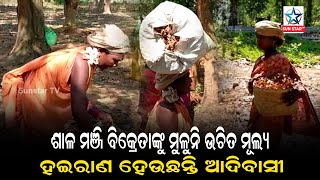 ଶାଳ ମଞ୍ଜି ବିକି ଗୁଜୁରାଣ ମେଣ୍ଟାଉଥିବା ଆଦିବାସୀ, ଶାଳ ମଞ୍ଜିର ଉଚିତ ମୂଲ୍ୟ ପାଇଁ ସରକାରଙ୍କପାଖରେ ଦାବି କରିଛନ୍ତି