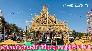 เที่ยว-งานตำนานข้าวอินทรีย์วิถีกุดชุมบุญกุ้มข้าวใหญ่ อ.กุดชุม จ.ยโสธร|Cactus One life