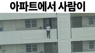 웃긴 짤들 245편