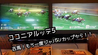 [スタホR] ココニアルッテ5 古馬！もう一度ジャパンカップから！