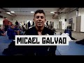 MICAEL GALVÃO HighLights / BJJ / 주짓수