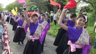 2014年 奈良市役所チーム八重櫻 (バサラ祭り/平城宮跡会場) 奈良市