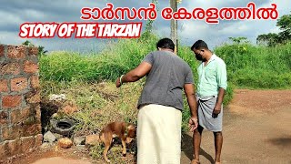 ഈ...വീഡിയോ ഷെയര്‍ ചെയ്യൂ...ഈ ക്രുരത ചെയ്തവന്‍റെ കണ്‍മുന്നില്‍ ഈ കഥ എത്തണം Tarzen Adoption dog story