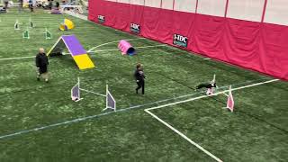 Sharper UKI Invitational - Pent Agility 1