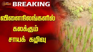 விளைநிலங்களில் கலக்கும் சாயக் கழிவு | Namakkal