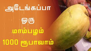 ஒரு மாம்பழம் 1000 ரூபாய்... விவசாயிகள் ஹாப்பி | Farmers | Mango