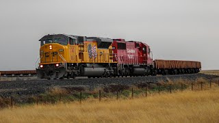 RARE!!! Chasing an SD9043MAC (CP 3747 South) On the CP Aldersyde Subdivision!