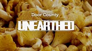 Foraging in Door County Wisconsin - Bounty of the Forest  |  Door County Unearthed