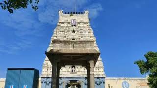 Temple cleaning initiative | Bhagthavachala Perumal Temple | Thiruninravur | Sevalaya