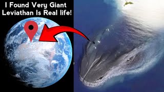 I Found Very Giant Leviathan Real! ๐ฑ on google maps and google earth ๐ #maps #earth #ddgoogleearth