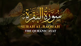 Surah Baqarah (The Cow) | English Translation | سورة البقرة 02 | Beautiful Quran Recitation