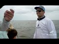 Food Chain Fishing Challenge - Tiny Fish to Giant Fish