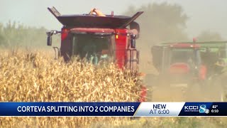 Corteva Agriscience to separate seed and crop protection businesses