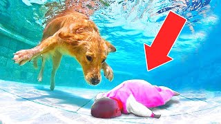 Children's Best Friends - Funny Video