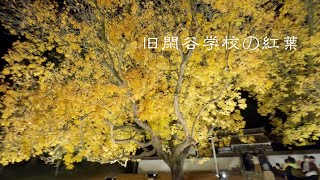 旧閑谷学校  Shizutani historical school HD 1080p