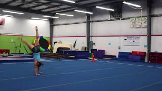 Level 3 Floor Routine 2013-2021