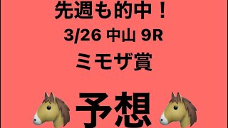 3月26日 中山 9R ミモザ賞 予想