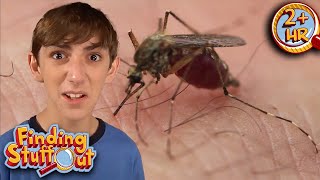 Bugs Are the Secret Heroes of the World! | Insect Heroes | Finding Stuff Out | 9 Story Fun