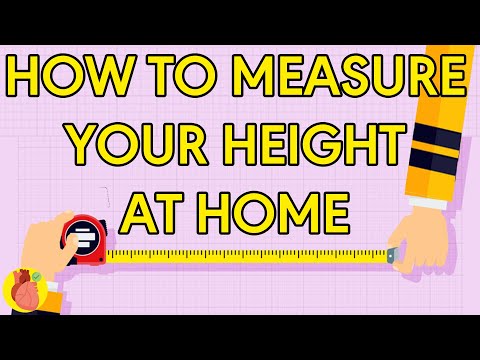What unit is height measured in?